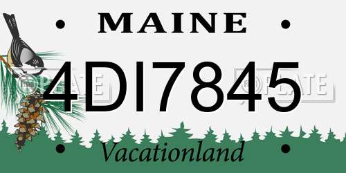 4DI7845 Maine License Plate