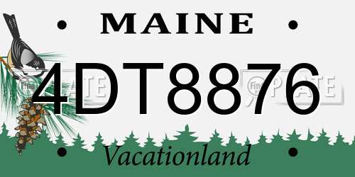 4DT8876 Maine License Plate