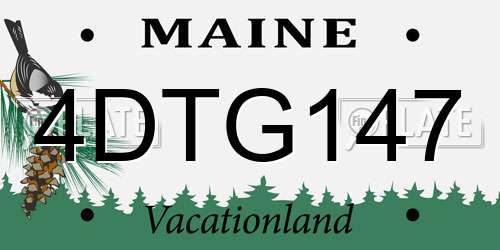 4DTG147 Maine License Plate