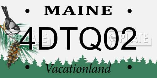 4DTQ02 Maine License Plate