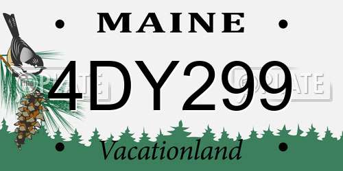 4DY299 Maine License Plate