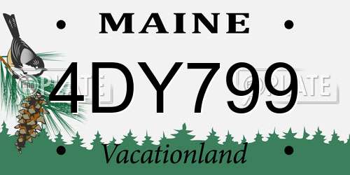 4DY799 Maine License Plate