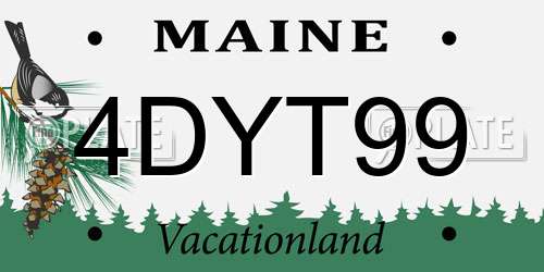 4DYT99 Maine License Plate