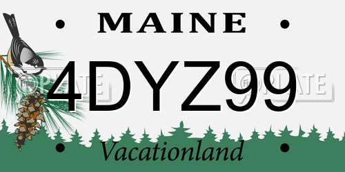 4DYZ99 Maine License Plate