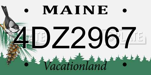 4DZ2967 Maine License Plate