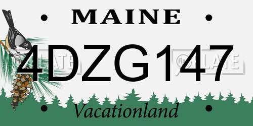 4DZG147 Maine License Plate