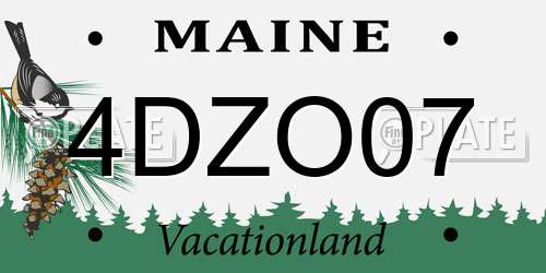 4DZO07 Maine License Plate