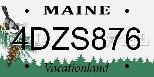 4DZS876 Maine License Plate