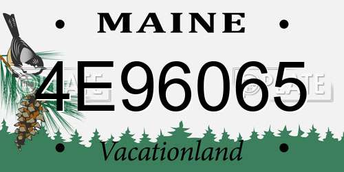 4E96065 Maine License Plate