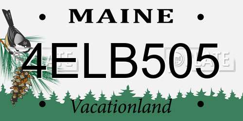 4ELB505 Maine License Plate