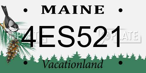 4ES521 Maine License Plate