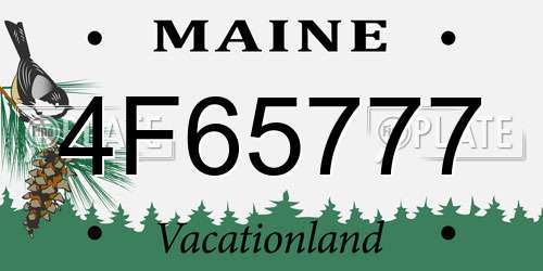 4F65777 Maine License Plate