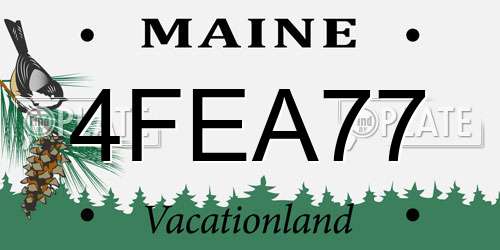 4FEA77 Maine License Plate