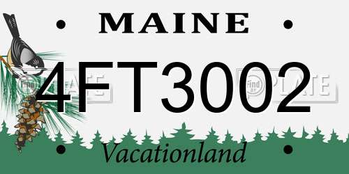 4FT3002 Maine License Plate