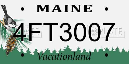 4FT3007 Maine License Plate