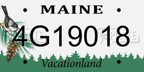4G19018 Maine License Plate