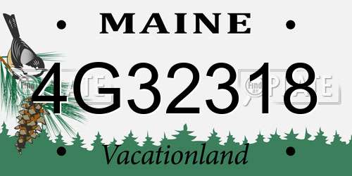 4G32318 Maine License Plate