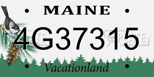 4G37315 Maine License Plate
