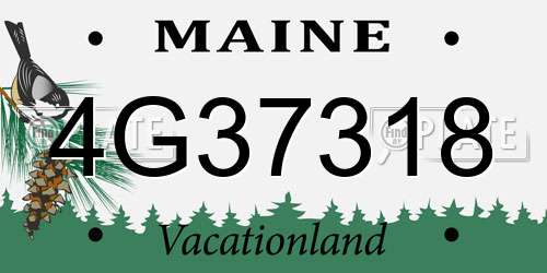 4G37318 Maine License Plate