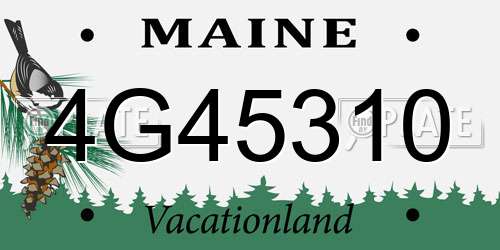 4G45310 Maine License Plate