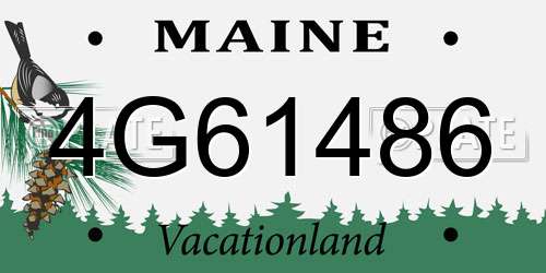 4G61486 Maine License Plate