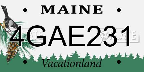 4GAE231 Maine License Plate