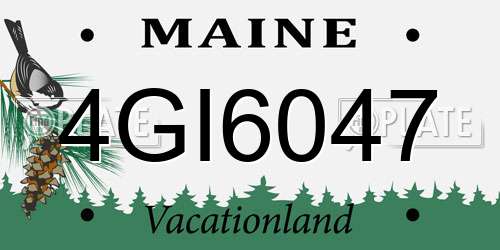 4GI6047 Maine License Plate
