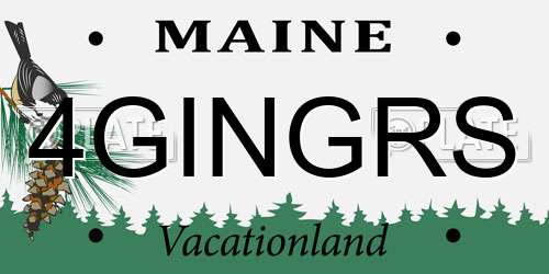 4GINGRS Maine License Plate