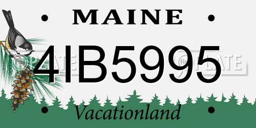 4IB5995 Maine License Plate