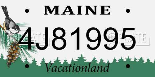 4J81995 Maine License Plate