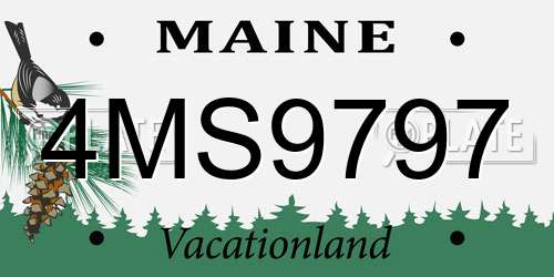4MS9797 Maine License Plate