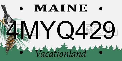 4MYQ429 Maine License Plate