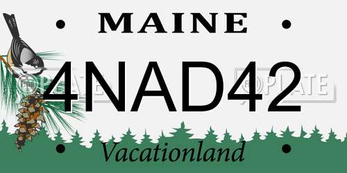 4NAD42 Maine License Plate