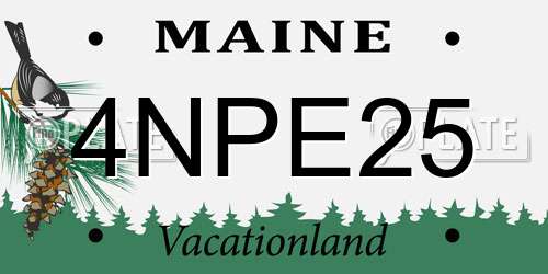 4NPE25 Maine License Plate