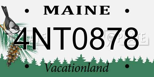 4NT0878 Maine License Plate