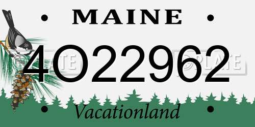 4O22962 Maine License Plate