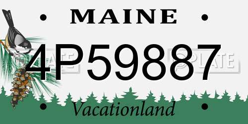 4P59887 Maine License Plate