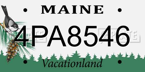 4PA8546 Maine License Plate
