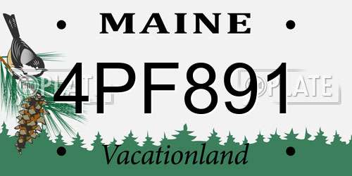 4PF891 Maine License Plate