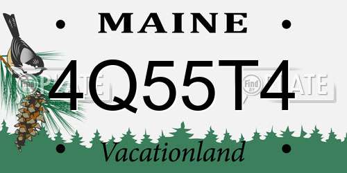 4Q55T4 Maine License Plate