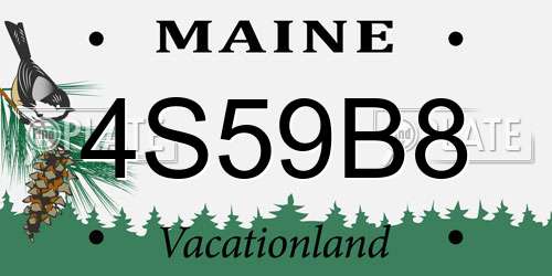 4S59B8 Maine License Plate