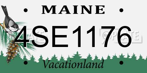 4SE1176 Maine License Plate