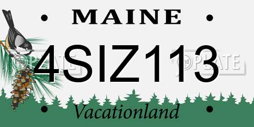 4SIZ113 Maine License Plate