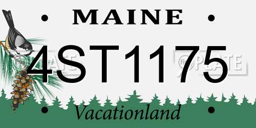 4ST1175 Maine License Plate