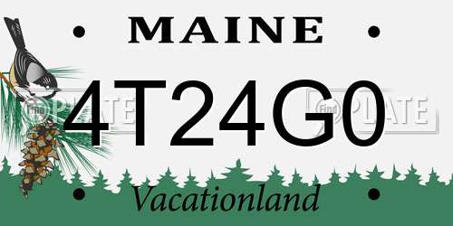4T24G0 Maine License Plate