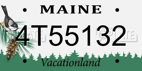 4T55132 Maine License Plate