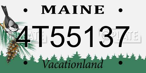 4T55137 Maine License Plate