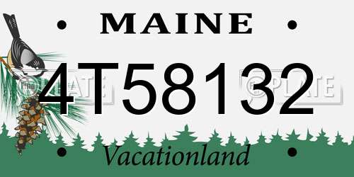 4T58132 Maine License Plate