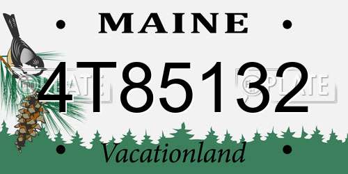 4T85132 Maine License Plate