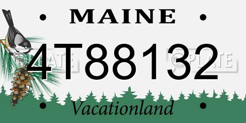 4T88132 Maine License Plate